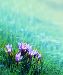 Similar image 13063946