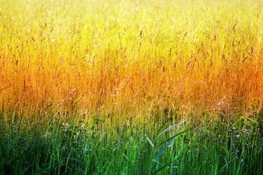 Similar image 13064491