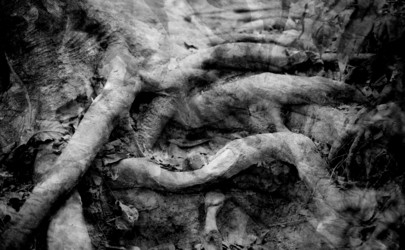 Similar image 13064506