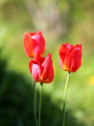 Similar image 13064511