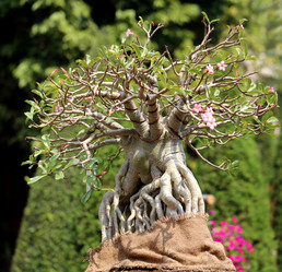 Similar image 13064644