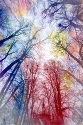 Similar image 13064645