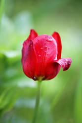 Similar image 13064647