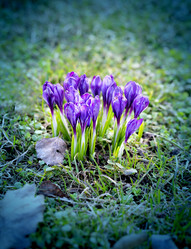 Similar image 13064704