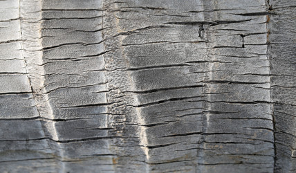 Similar image 13064706