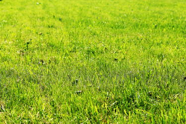 Similar image 13064707