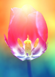 Similar image 13064054