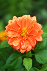 Similar image 13064055