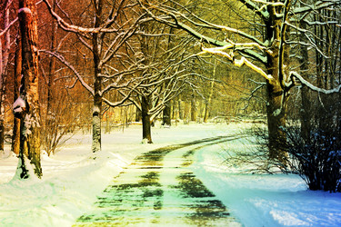 Similar image 13064845