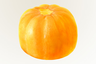 Similar image 13063767