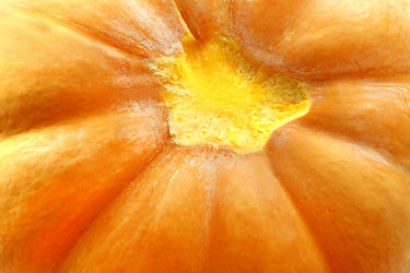 Similar image 13063972