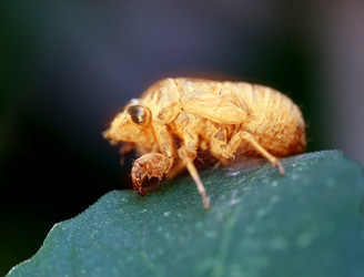 Similar image 13063796