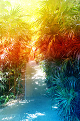 Similar image 13063817