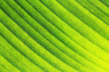 Similar image 13064033