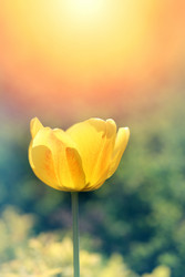 Similar image 13064036