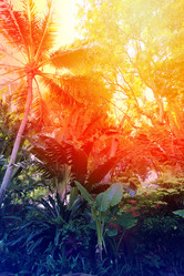 Similar image 13064448