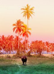 Similar image 13064520