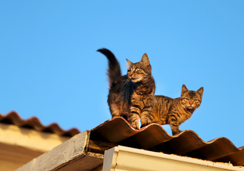 Similar image 13064071