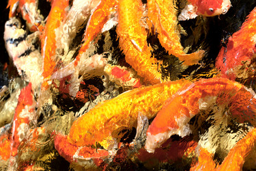 Similar image 13064072