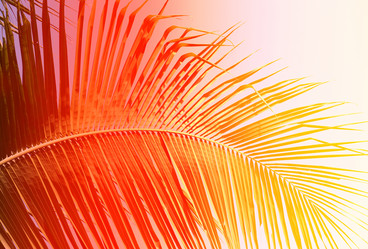 Similar image 13064073