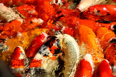 Similar image 13064075