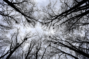 Similar image 13064006