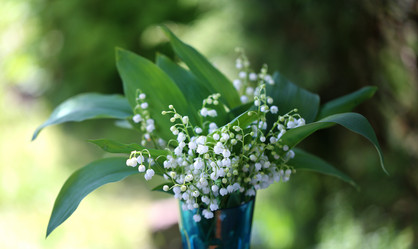 Similar image 13064016