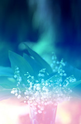 Similar image 13064040