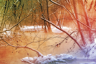 Similar image 13064042