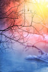 Similar image 13064496