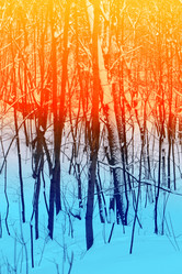 Similar image 13064524