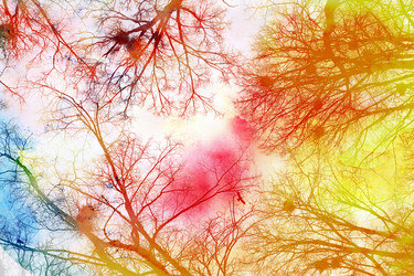 Similar image 13064077