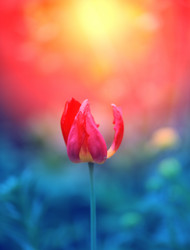 Similar image 13064079