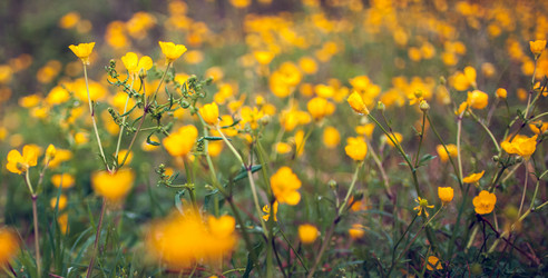 Similar image 13061618