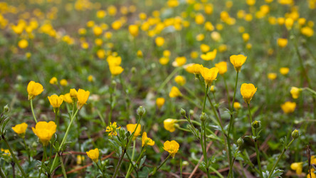 Similar image 13061619