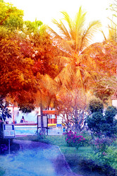 Similar image 13064717