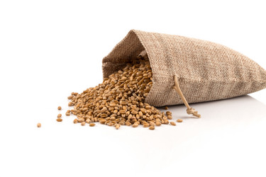 Similar image 13060178