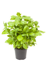 Similar image 13060190