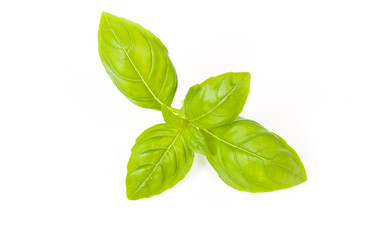 Similar image 13003334