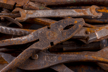 Similar image 13003353