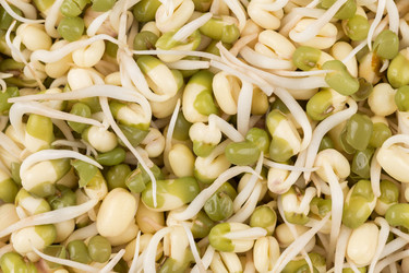 Similar image 13010765