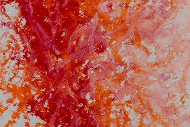 Similar image 13046759