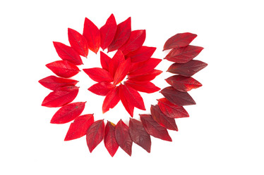 Similar image 13046799