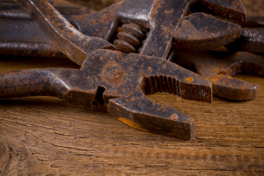 Similar image 13046800