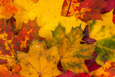 Similar image 13046822