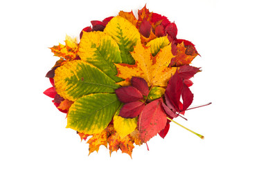 Similar image 13046823