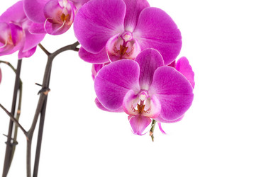 Similar image 13046902