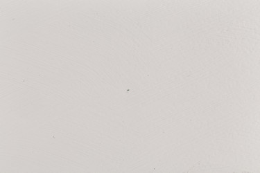 Similar image 13046963