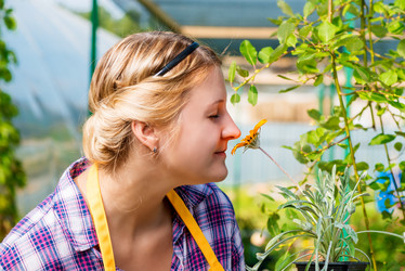 Similar image 13063367