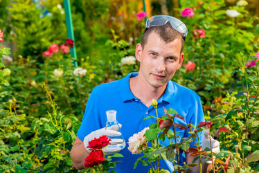 Similar image 13063429